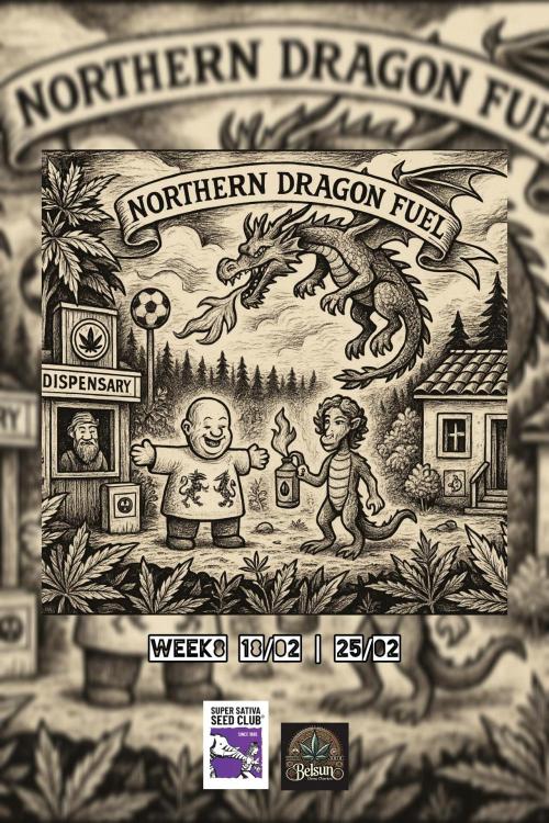 Northern dragon fuel Auto@SSSC. Week 8