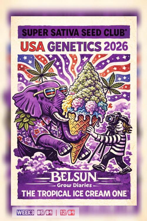 The Tropical Ice Cream One@USAGenetics26. Week 3
