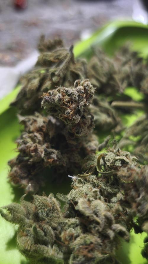 Northern dragon fuel Auto@SSSC. Week 13