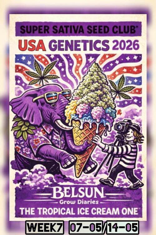 The Tropical Ice Cream One@USAGenetics26. Week 7