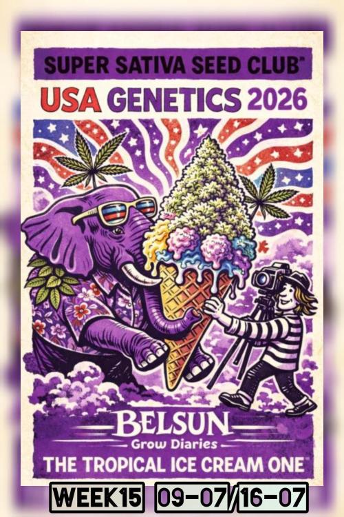 The Tropical Ice Cream One@USAGenetics26. Week 15
