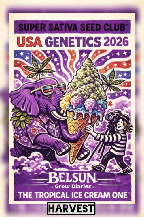 The Tropical Ice Cream One@USAGenetics26. Week 17