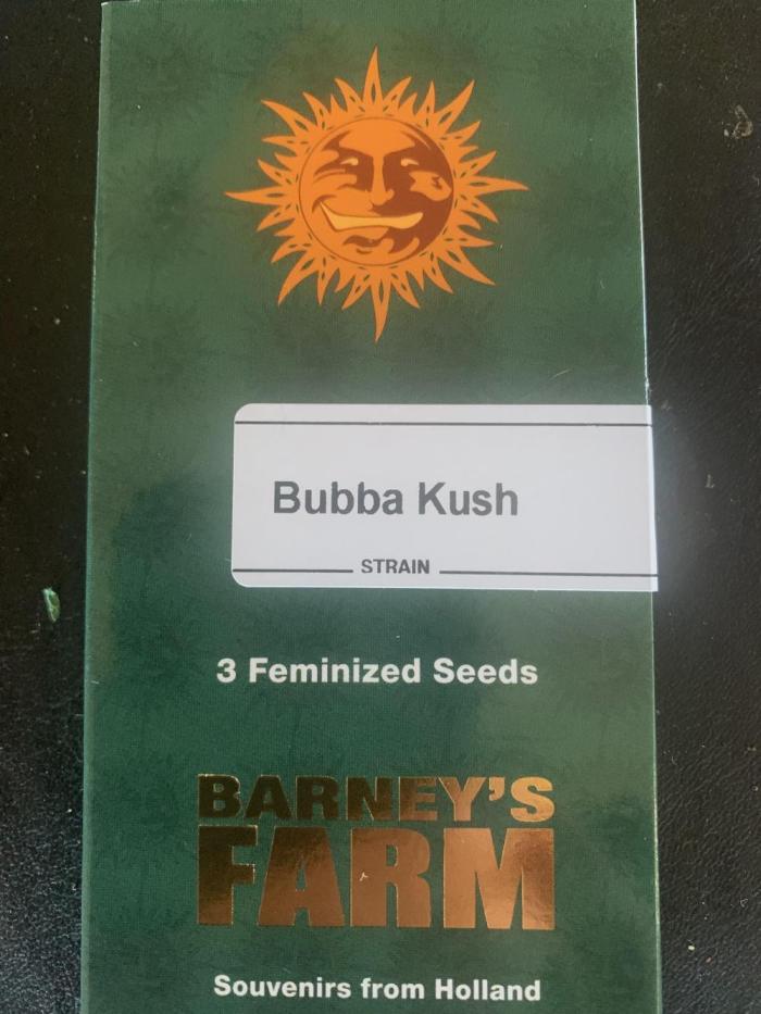 R13: Bubba Kush. Week 0