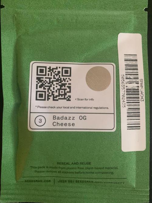 R15: Badazz OG Cheese. Week 0