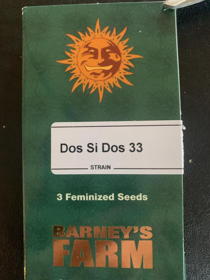 R20: DSD 33. Week 0