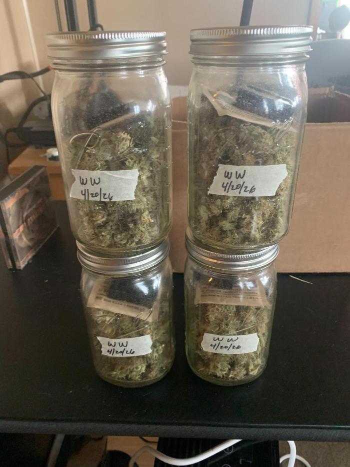 R14: White Widow. Week 18 - 4/20/26