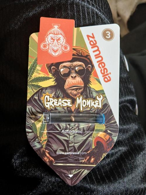 Grease Monkey Auto. Week 1 - Excited for these babies to kick off