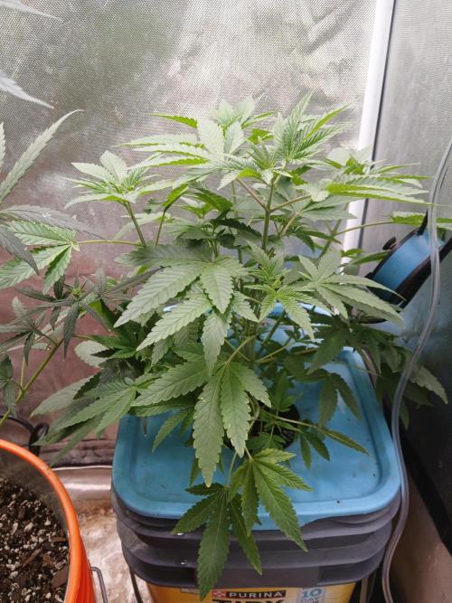 Wedding Cake Photo. Week 5