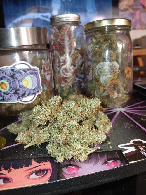 Ghost Train Haze Automatic. Week 16