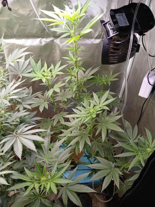 Wedding Cake Photo. Week 9