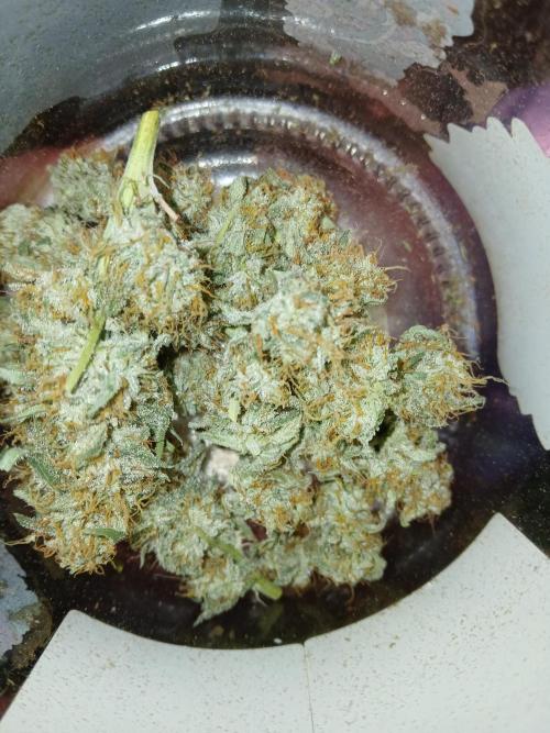 Wedding Cake Photo. Week 13 - Still have a lot to trim
