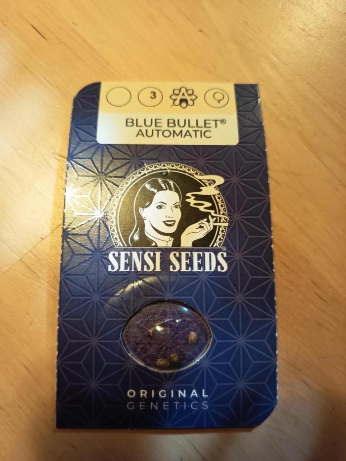 Blue Bullet Auto im Regal. Week 0