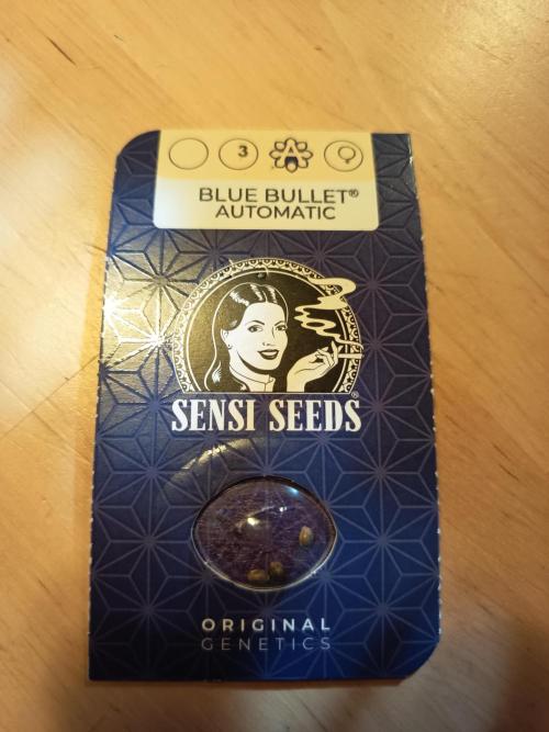 Blue Bullet Auto. Week 0