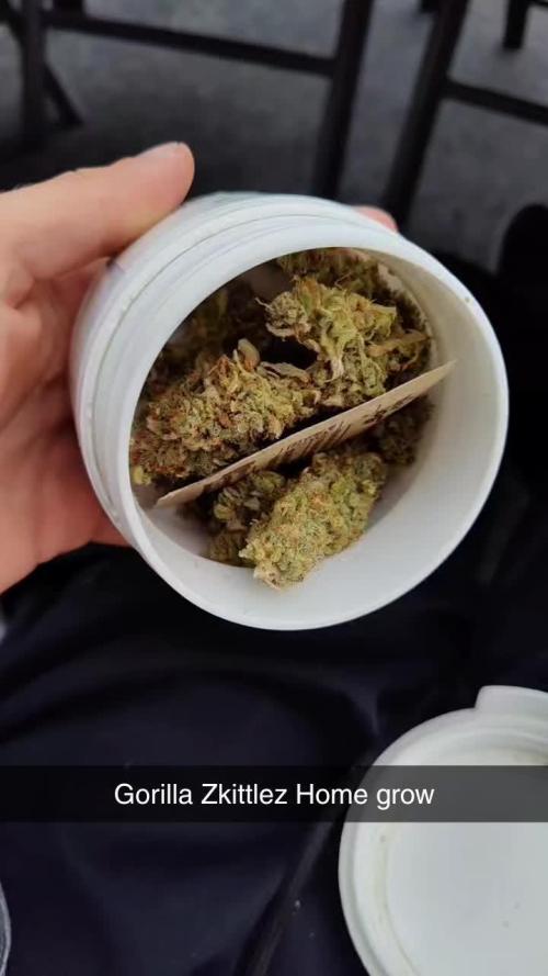 Gorilla Zkittlez Fast Flower