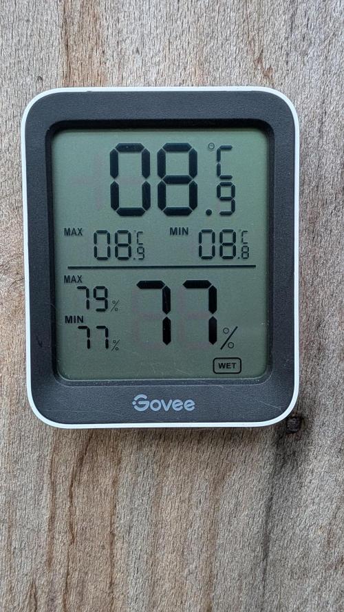 Outdoor Grow 2026. Week 2 - Die Woche war sehr kalt und regnerisch, Nachttemperaturen von nur 8 Grad!