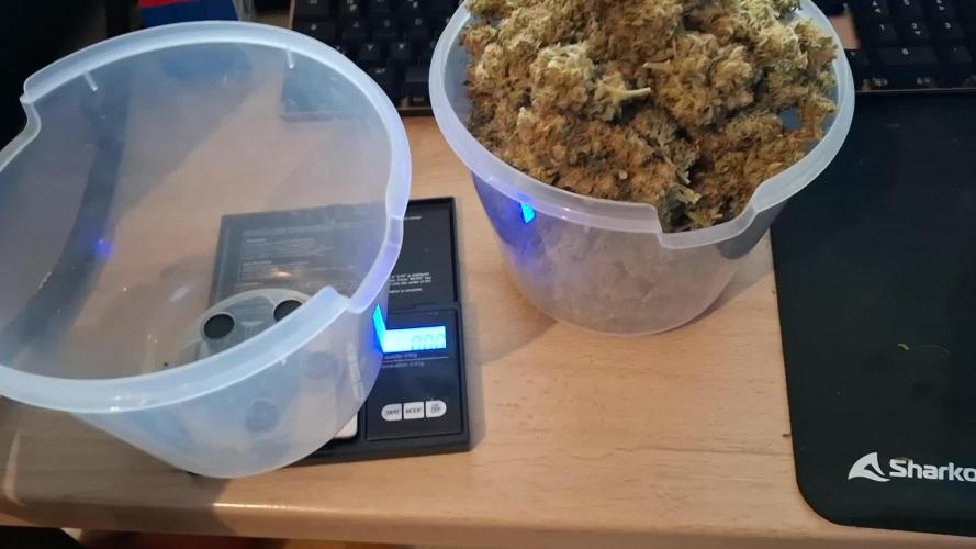 Super Boof - Purple Haze - FastBuds