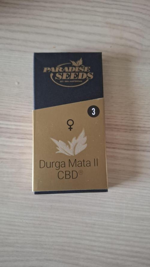 Durga Mata II CBD - 1:1 - Paradise Seeds. Week 0 - Moments before...