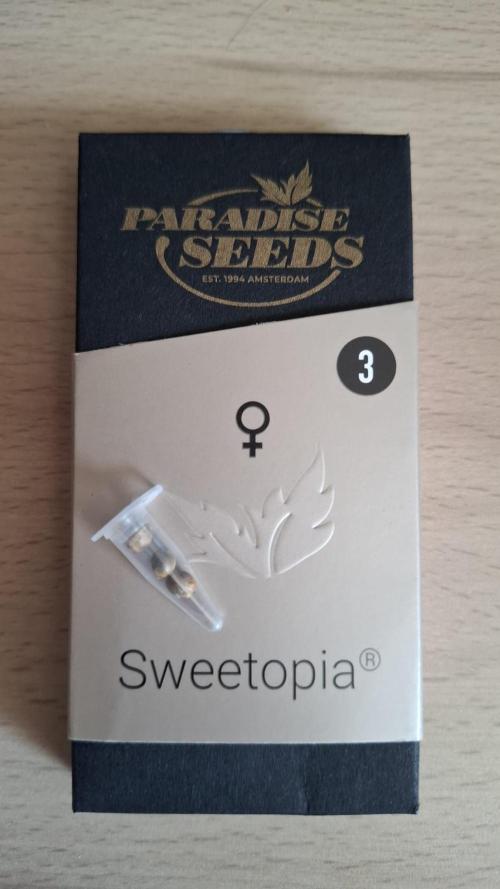 Sweetopia - Paradise Seeds. Week 0 - The Seeds
