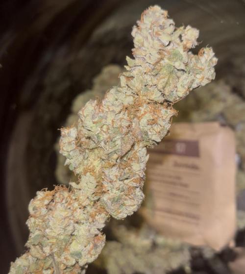 Clones- Friezas Laser #66,GlitterBomb,WW. Week 13