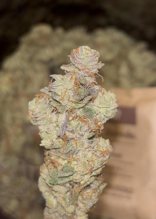 Clones- Friezas Laser #66,GlitterBomb,WW. Week 13