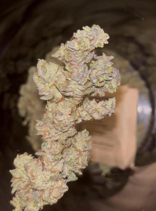 Clones- Friezas Laser #66,GlitterBomb,WW. Week 13