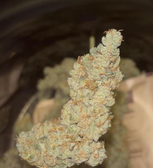 Clones- Friezas Laser #66,GlitterBomb,WW. Week 13