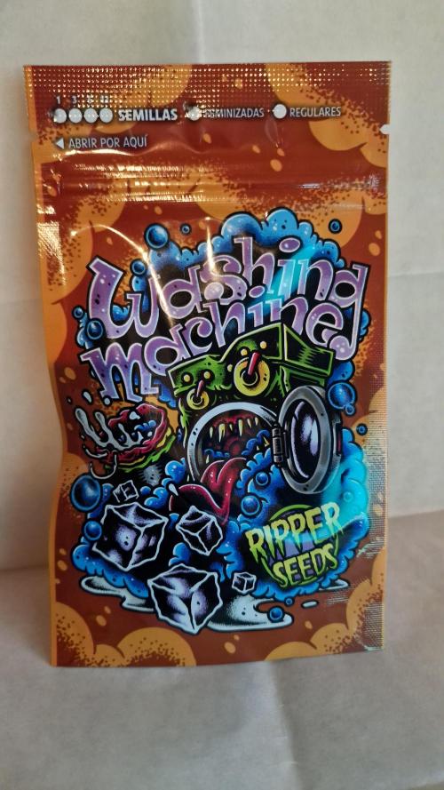 RipperSeeds - Washing Machine. Week 0 - germination