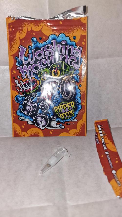 RipperSeeds - Washing Machine. Week 0 - germination