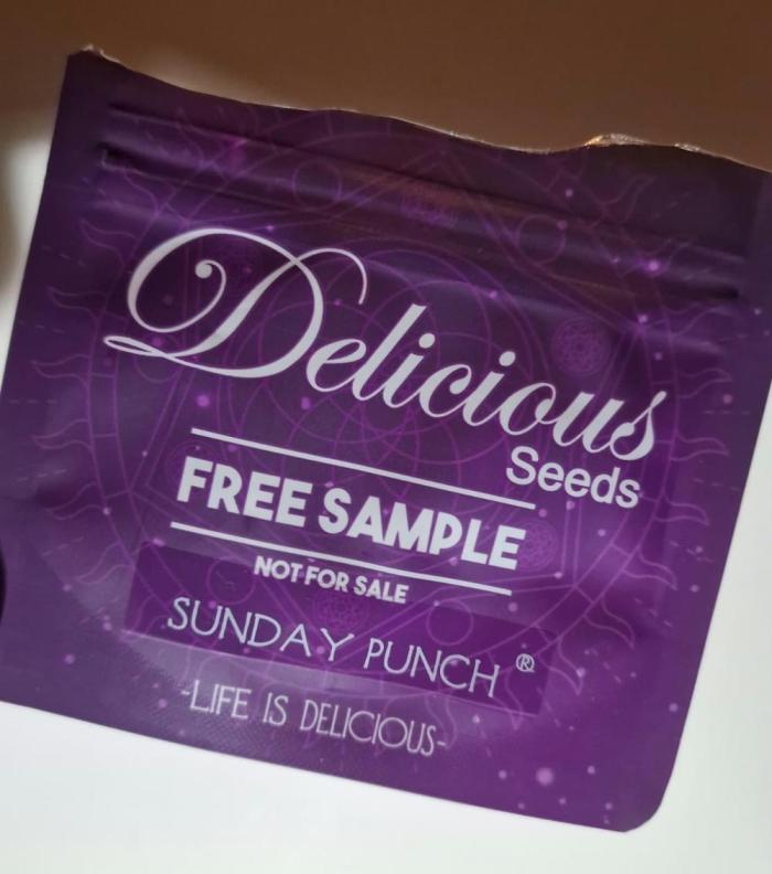 Delicious Seeds - Sunday Punch. Week 0