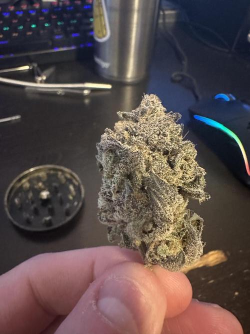Grow #4 - Blueberry. Week 22 - 3/28/26