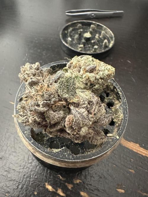 Grow #4 - Blueberry. Week 22 - 3/28/26