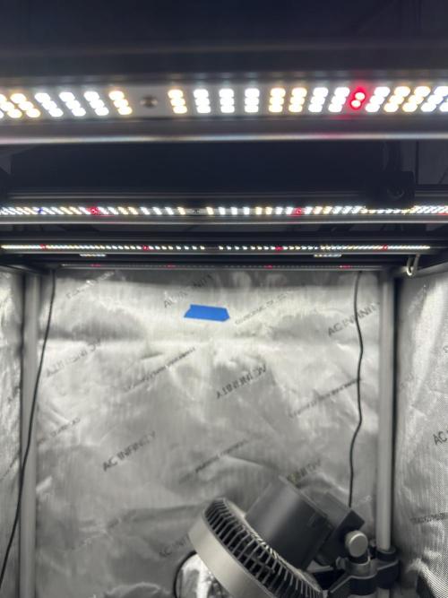 Grow #5 - Blueberry (New Light). Week 0 - New Light, IONFRAME EVO4