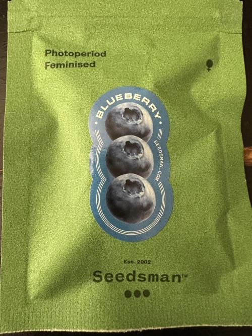 Grow #5 - Blueberry (New Light). Week 0