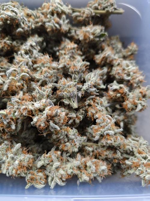 Bananakin Skywalker and more. Week 11