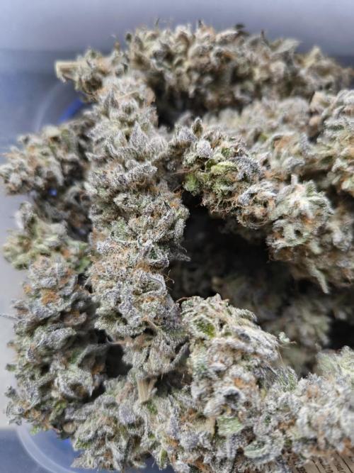 Bananakin Skywalker and more. Week 11