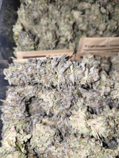 Bananakin Skywalker and more. Week 11