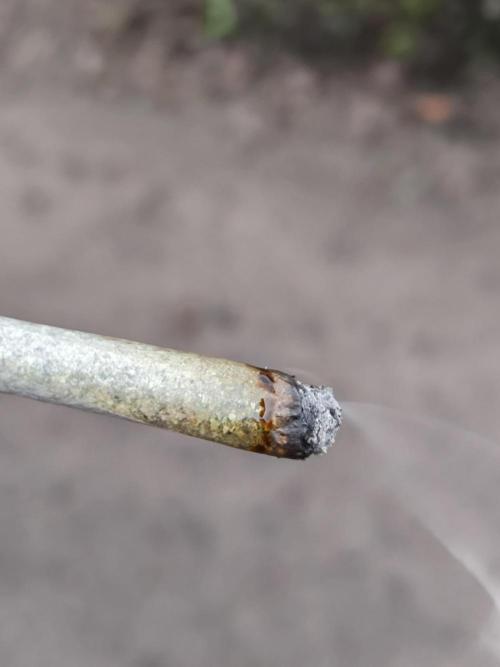 Bananakin Skywalker and more. Week 11