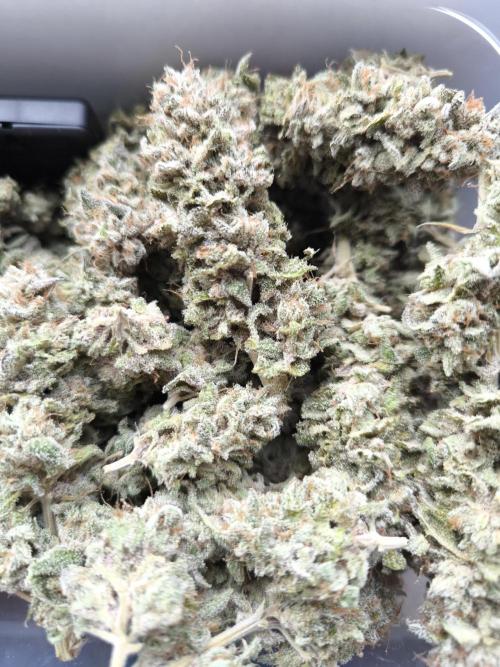 Bananakin Skywalker and more. Week 11