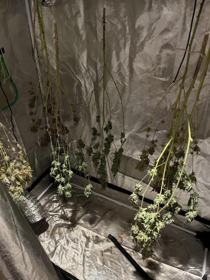 Perfect Triangle. Week 20