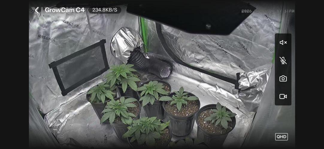 Minnesota Grow. Week 0