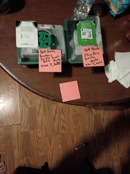 Fast buds grow promo( 419budz). Week 0 - Few days from starting seed. Should see sprouting soon can't wait. Keeping every