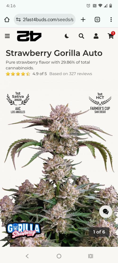 Fast buds grow promo( 419budz). Week 1