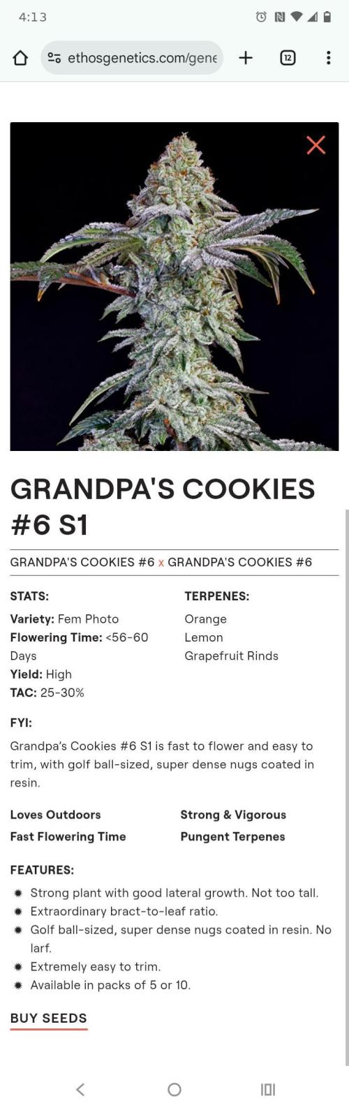 Ethos genetics 419 grow 2. Week 0 - Testing new genetics