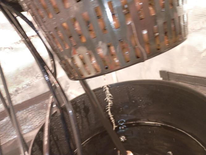 Fast buds grow promo( 419budz). Week 3