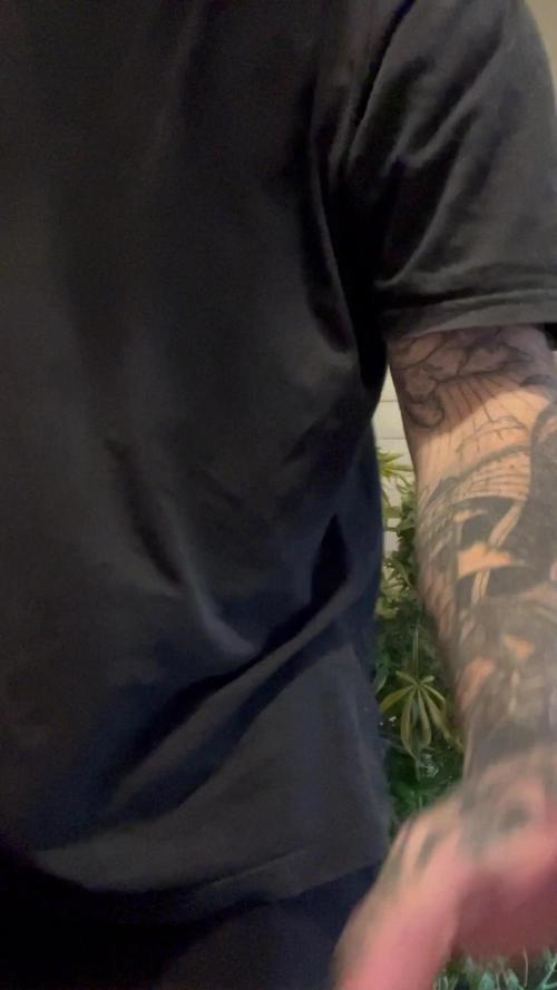  HIDROPONIC GTA - GORILLA x TRUE MINTS x APRICOT