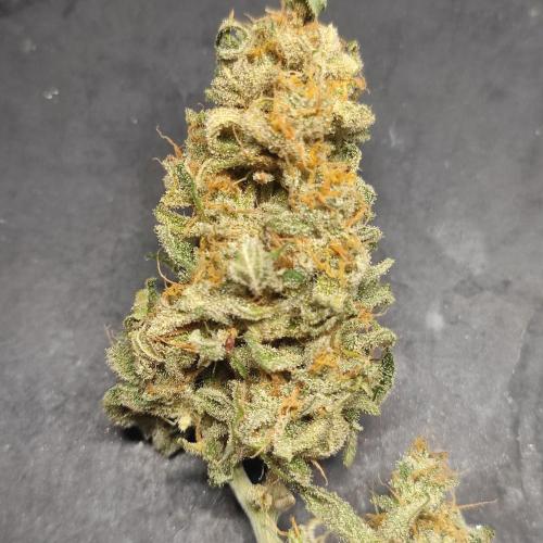Sticky Broccoli | Pineapple Ex | Lemon W. Week 12
