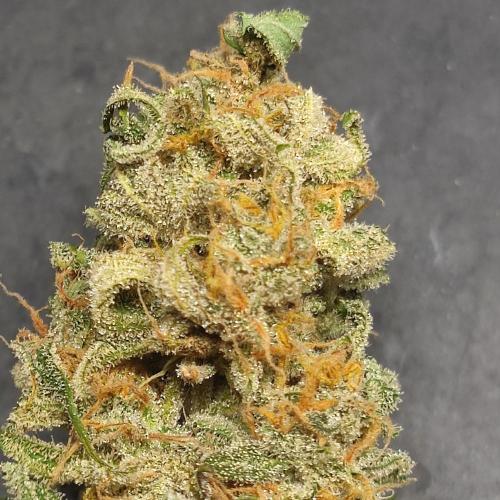 Sticky Broccoli | Pineapple Ex | Lemon W. Week 12