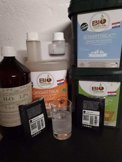 Apricot Automatic from 420 Fast Buds. Week 0