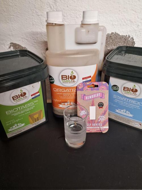 Jelly Donutz - Humboldt Seed Company. Week 0