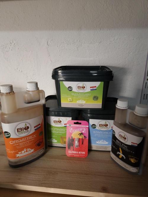 California Octane by HSC. Week 0